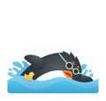 Fit Penguin Swimming