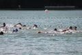 Triathlon swimmers Royalty Free Stock Photo