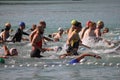 Triathlon swimmers Royalty Free Stock Photo