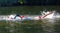 Triathlon swimmers swimming in river Royalty Free Stock Photo