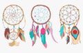 Tribal dreamcatcher made of hoop and net