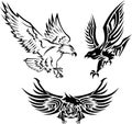 Tribal Eagle Tattoos Royalty Free Stock Photo