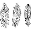 Tribal Ethnic Feathers