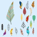 Tribal flat feather different style bird vintage colorful ethnic hand drawn element decorative drawing nature quill