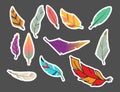 Tribal flat feather different style bird vintage colorful ethnic hand drawn