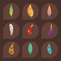 Tribal flat feather different style bird vintage colorful ethnic hand drawn element decorative drawing nature quill