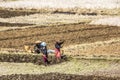 Tribal people on the fields