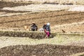 Tribal people on the fields