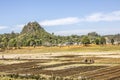 Tribal people on the fields