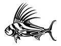 Vectored Tribal rooster fish