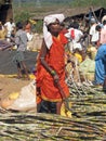 Tribal woman