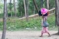 A tribal woman carry belongings on head, going to check her name on final list of National Register of Citizens office. NRC CAA