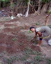 Tribal woman farming in her kitchen garden