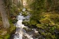 Triberg waterfall in the Black Forest, highest fall in Germany, Gutach river plunges over seven major steps into the valley