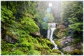 Inside the Schwarzwald Black Forest