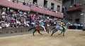 Tribune of the spectators in Palio of Siena