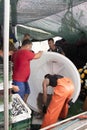 Fishermen sorting the fish catch  from the large plastic container on a fishing boat Royalty Free Stock Photo