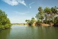 A tributary of the River Gambia near Makasutu Forest in Gambia,