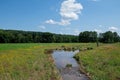 Tributary to a stream having undergone streambank restoration and stabilization on a warm sunny summer day. Royalty Free Stock Photo