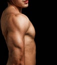 Triceps and shoulder of man with muscular fit body Royalty Free Stock Photo