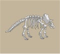 Triceratop Fossil Brown Background Color Illustration Design