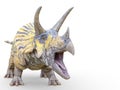 Triceratops is calling on white background