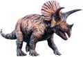 Triceratops 3D illustration