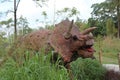 Triceratops at Dino Park Kaliurang, Yogyakarta.