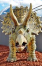 Triceratops dinosaur