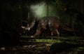 Triceratops dinosaur in the forest Royalty Free Stock Photo