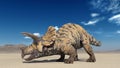 Triceratops, dinosaur reptile crawling, prehistoric Jurassic animal in deserted nature environment, 3D render