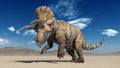 Triceratops, dinosaur reptile prancing, prehistoric Jurassic animal in deserted nature environment, 3D render