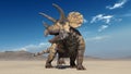 Triceratops, dinosaur reptile, prehistoric Jurassic animal roaring in deserted nature environment, front view, 3D render