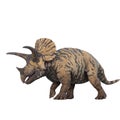 Triceratops dinosaur side vire, walking. 3D illustration isolated on white background