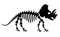 Triceratops dinosaur skeleton negative space silhouette illustration. Prehistoric creature bones isolated monochrome Royalty Free Stock Photo