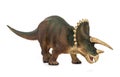 Triceratops dinosaurs herbivores Royalty Free Stock Photo