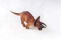 Triceratops dinosaurs toy on white background