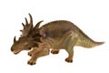 Triceratops disappeared thousands of years ago Royalty Free Stock Photo