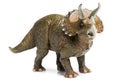 Triceratops