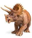 Triceratops Royalty Free Stock Photo