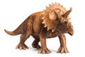 Triceratops