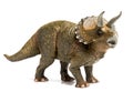 Triceratops Royalty Free Stock Photo