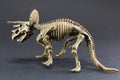 Triceratops fossil dinosaur skeleton model toy