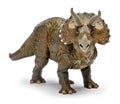 Triceratops, front view dinosaurs toy isolated on white background with clipping path. Royalty Free Stock Photo