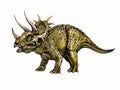 Triceratops, herbivorous dinosaur Royalty Free Stock Photo