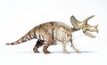 Triceratops morphing from skin to skeleton