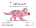 Triceratops. Ornithischian dinosaur. Colorful vector illustration of prehistoric creature ceratopsia and description of Royalty Free Stock Photo