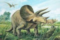 Triceratops