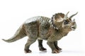 Triceratops plastic figurine in white background