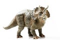 Triceratops plastic figurine in white background